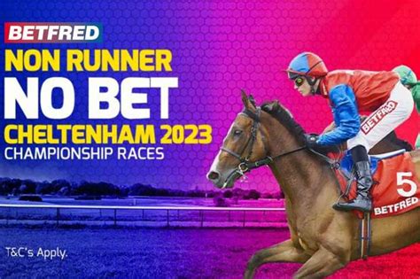 cheltenham nrnb 2023.